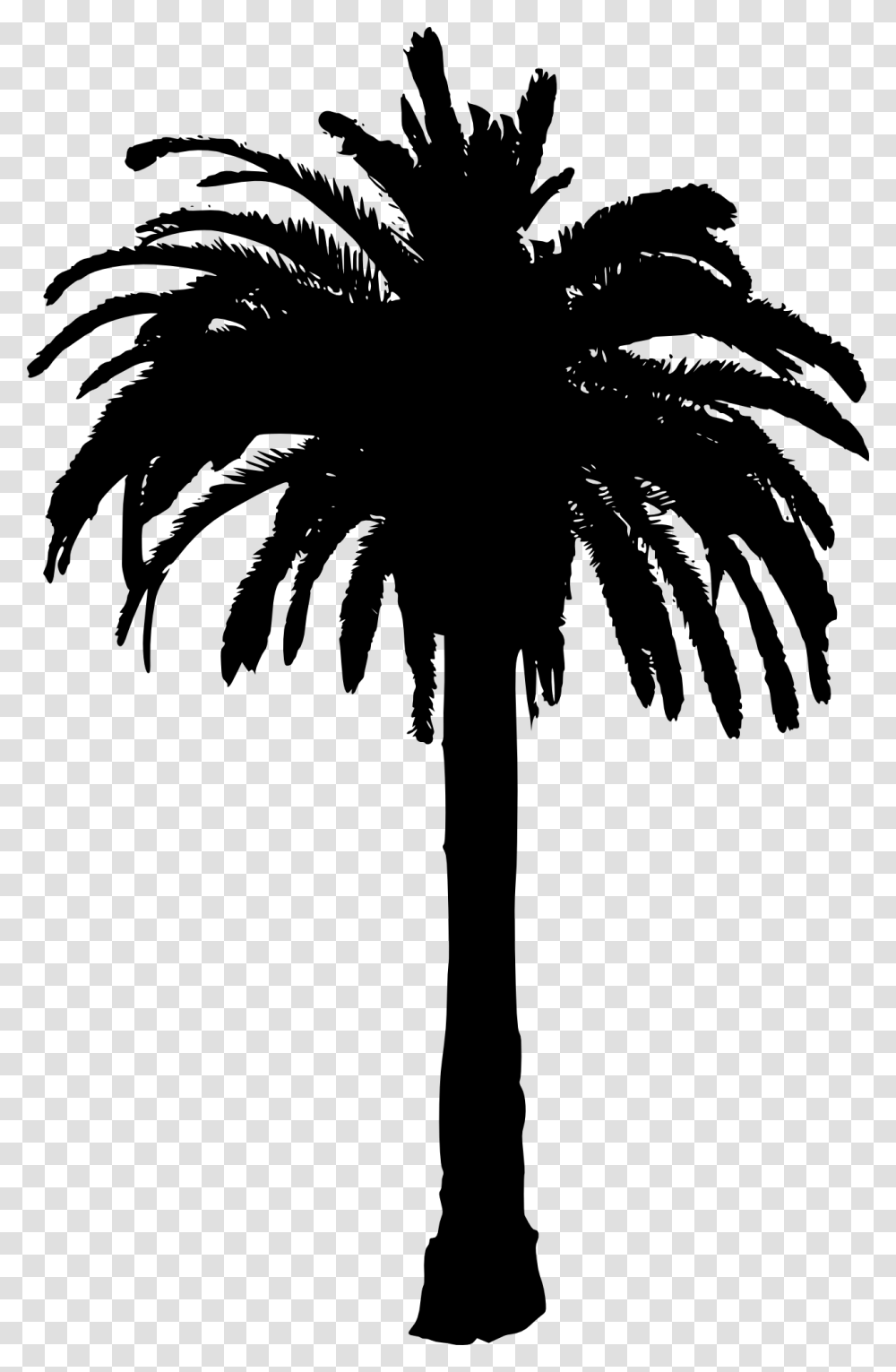 Palm Tree Clip Art, Plant, Arecaceae, Stencil, Silhouette Transparent Png