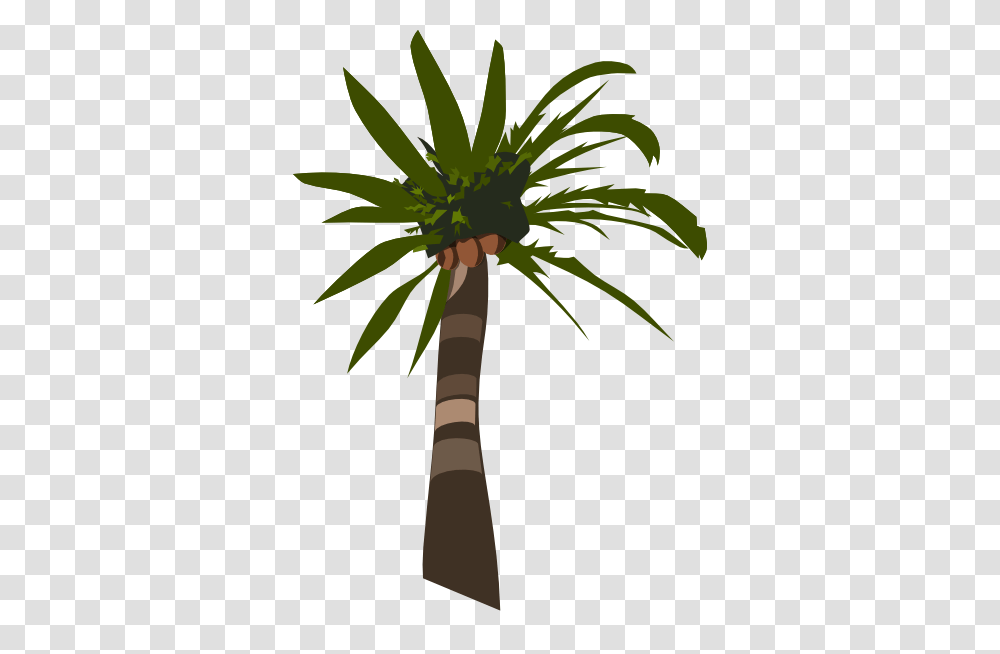 Palm Tree Clip Art, Plant, Arecaceae Transparent Png