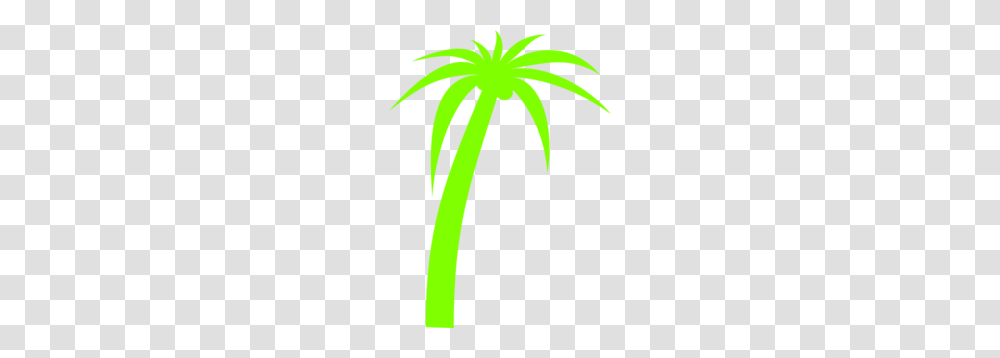 Palm Tree Clip Art, Plant, Flower, Anther, Green Transparent Png