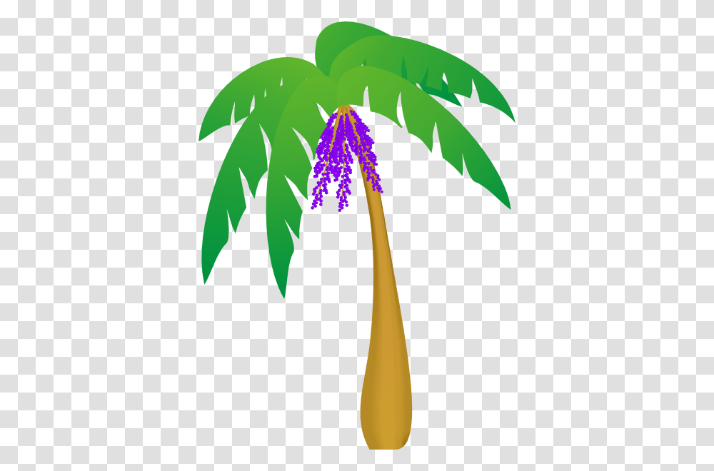 Palm Tree Clip Art, Plant, Flower, Blossom, Flare Transparent Png