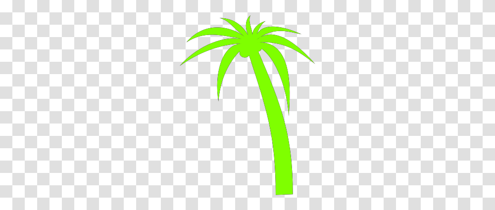 Palm Tree Clip Art, Plant, Green, Flower, Blossom Transparent Png