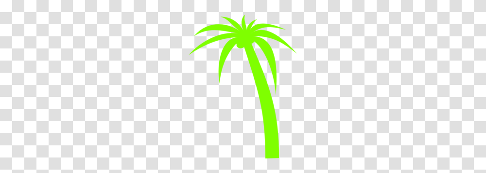 Palm Tree Clip Art, Plant, Green, Leaf, Flower Transparent Png