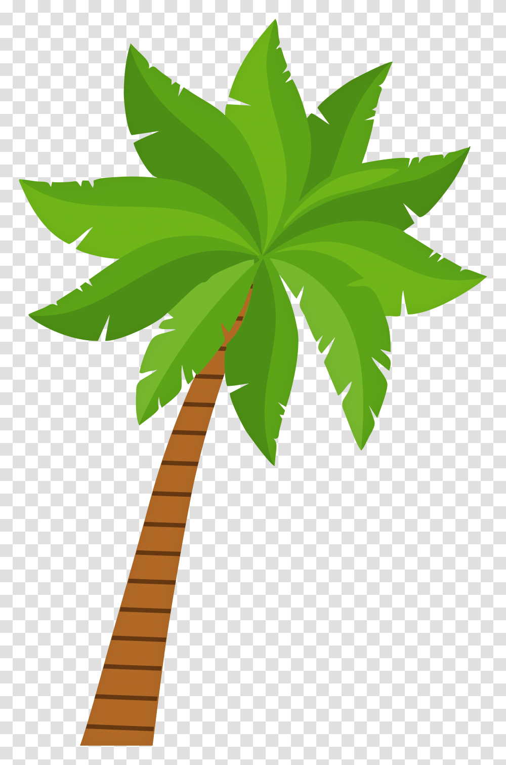 Palm Tree Clip Art, Plant, Leaf, Green, Arecaceae Transparent Png