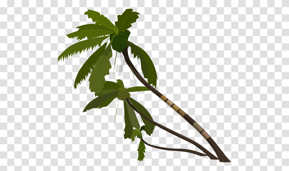 Palm Tree Clip Art, Plant, Leaf Transparent Png