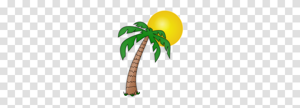 Palm Tree Clip Art Silhouette, Plant, Sphere, Arecaceae, Vegetation Transparent Png