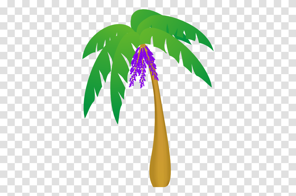 Palm Tree Clip Art Vector Clip Art Online Palm Tree Leaves Vector, Plant, Leaf, Flower, Blossom Transparent Png