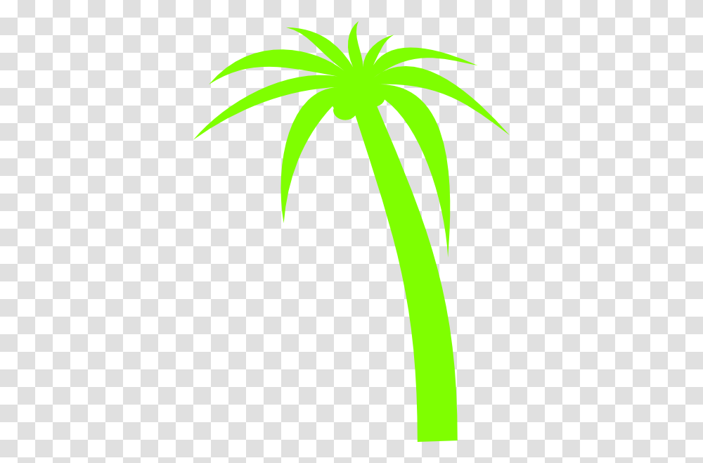 Palm Tree Clip Arts For Web, Logo, Trademark Transparent Png