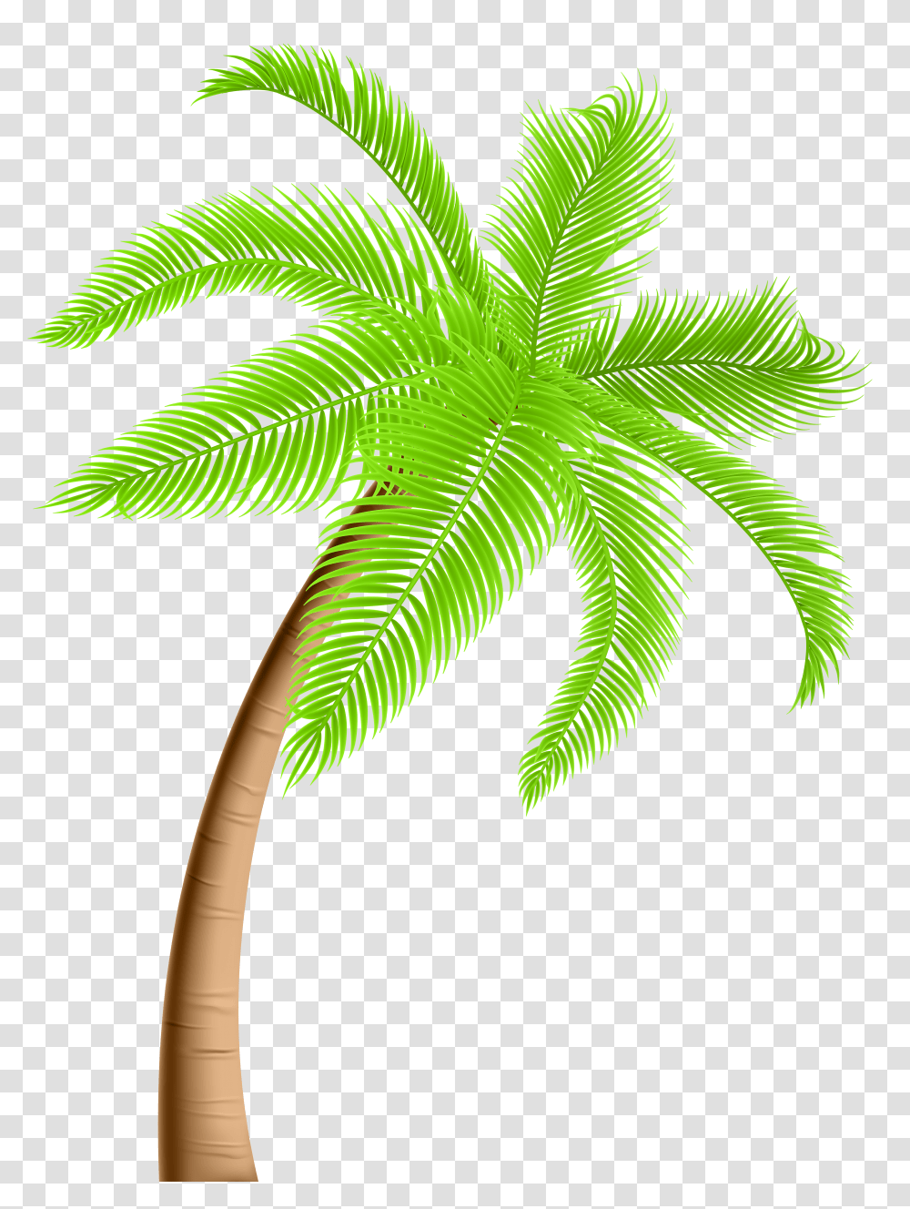 Palm Tree Clip Transparent Png