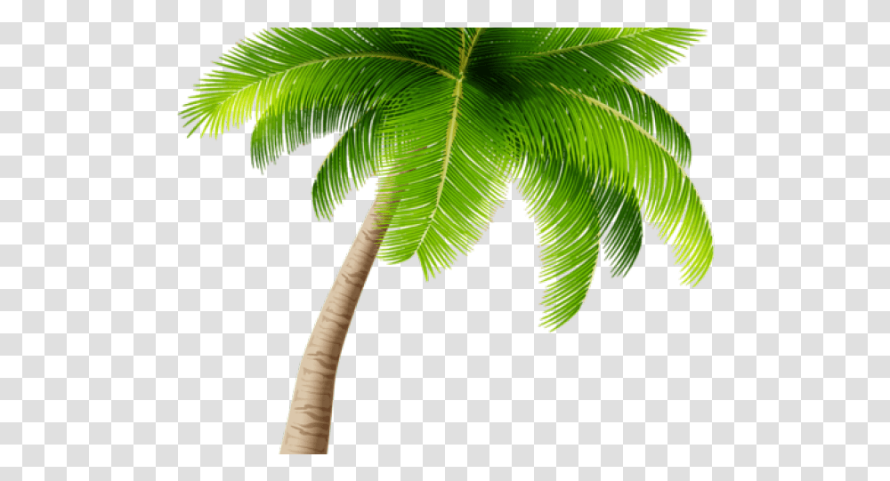 Palm Tree Clipart Background Palm Tree, Leaf, Plant, Green, Arecaceae Transparent Png