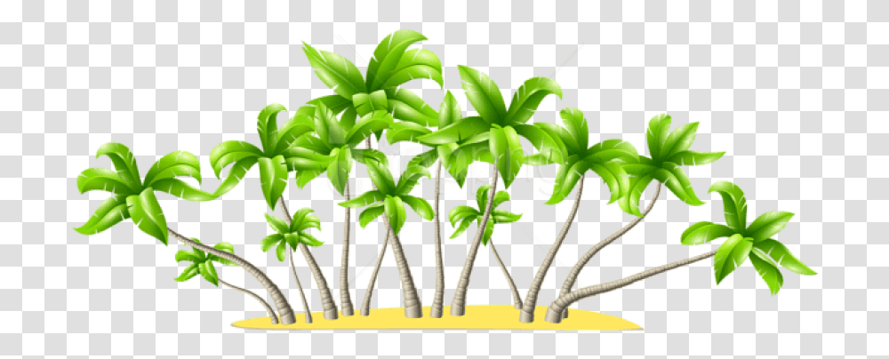 Palm Tree Clipart Coconut Trees Coconut Tree Hd, Plant, Sprout, Flower, Blossom Transparent Png