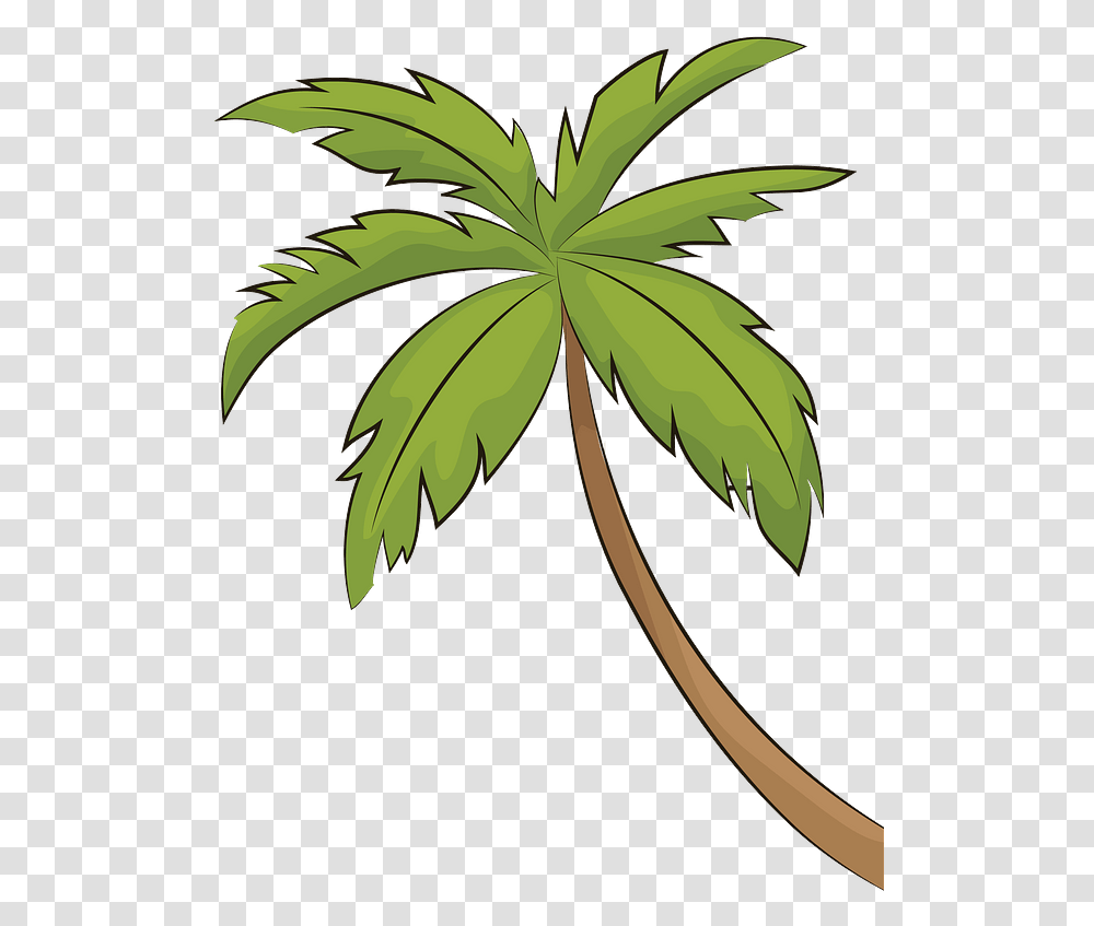 Palm Tree Clipart Free Download Creazilla Palm Tree Clipart, Plant, Hemp, Leaf, Weed Transparent Png