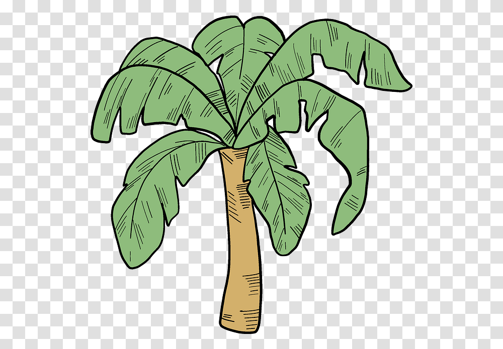 Palm Tree Clipart Free Download In Or Vector Format Clip Art, Plant, Arecaceae, Leaf, Vegetation Transparent Png