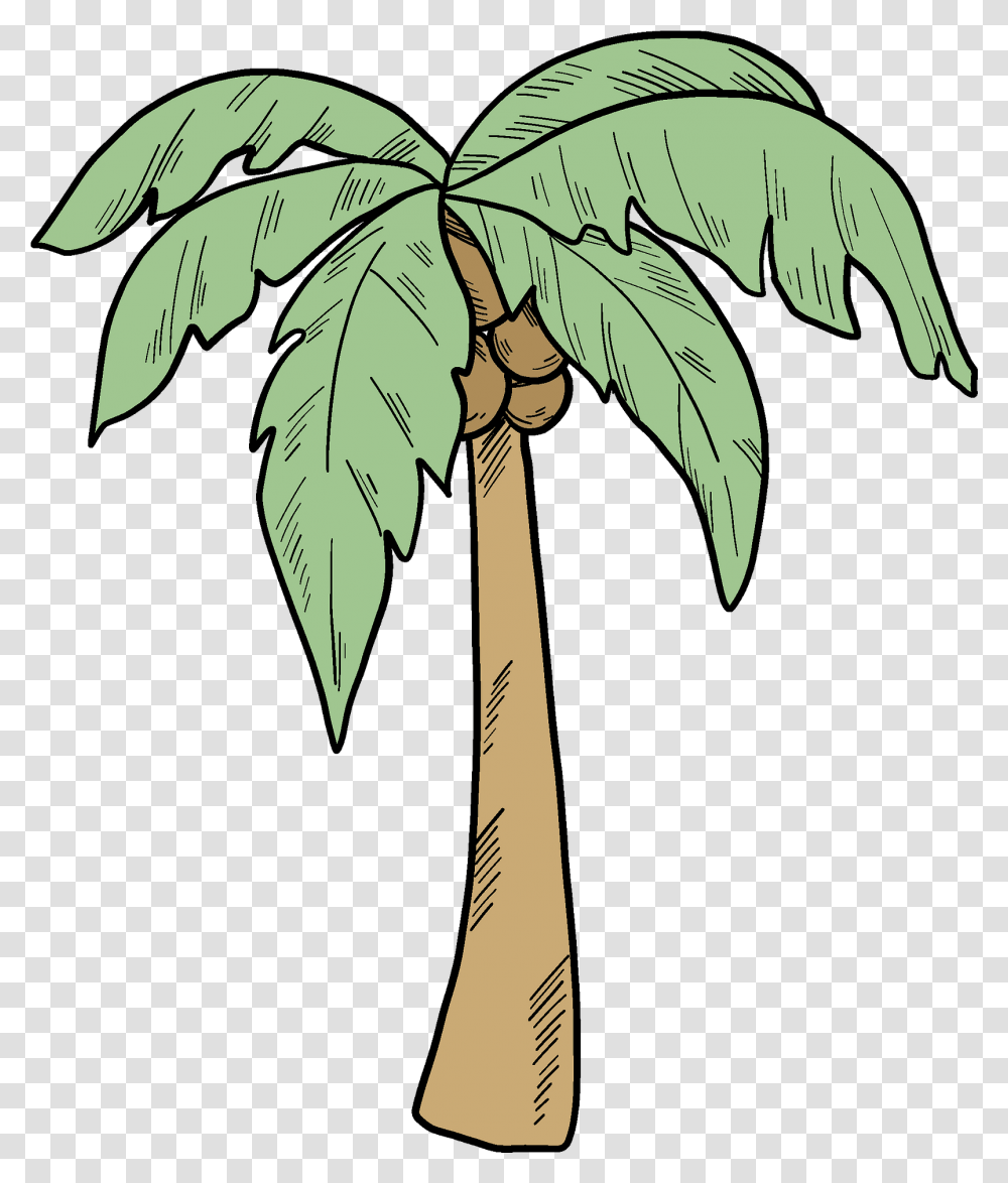 Palm Tree Clipart Fresh, Plant, Arecaceae, Leaf, Annonaceae Transparent Png