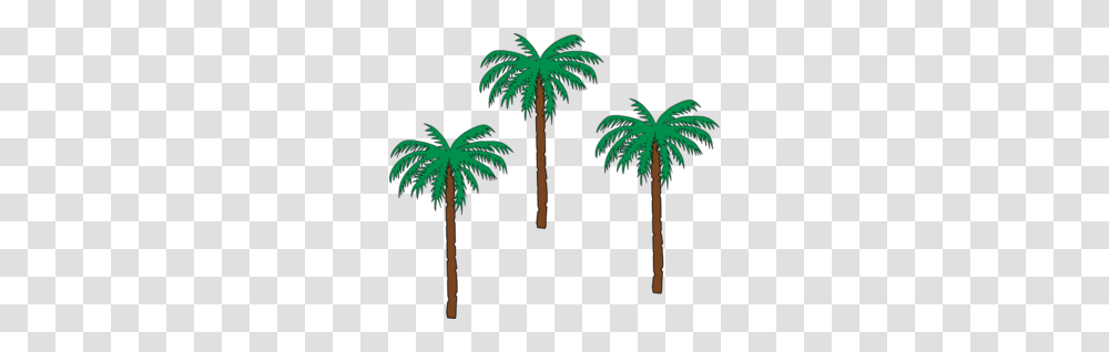 Palm Tree Clipart Jungle Foliage, Plant, Arecaceae, Vegetation, Green Transparent Png