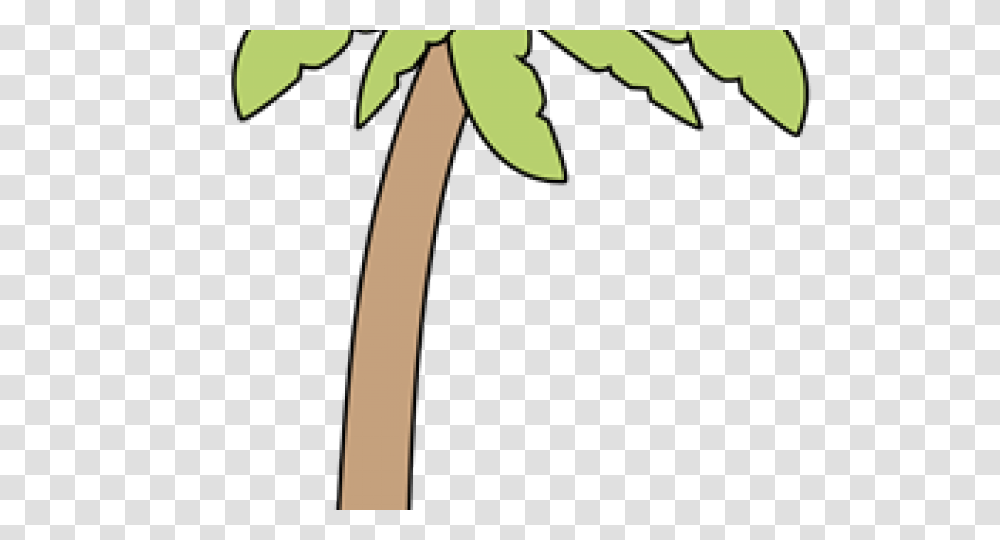 Palm Tree Clipart, Leaf, Plant, Bow, Flower Transparent Png