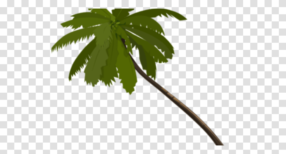 Palm Tree Clipart, Leaf, Plant, Flower, Blossom Transparent Png