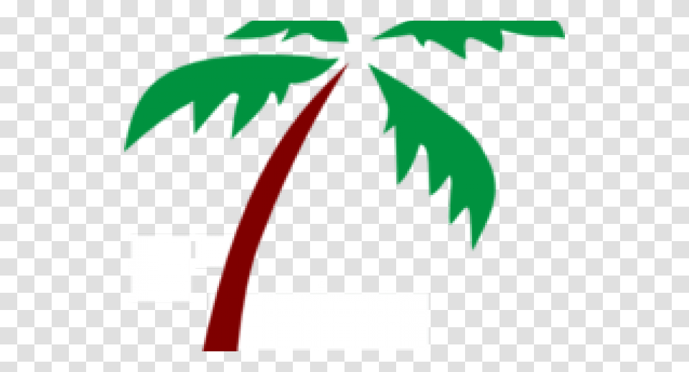 Palm Tree Clipart, Leaf, Plant, Pattern Transparent Png