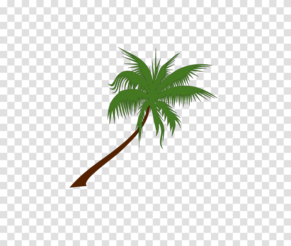 Palm Tree Clipart No Background, Plant, Arecaceae, Leaf Transparent Png