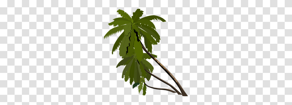 Palm Tree Clipart Palma, Leaf, Plant, Bow, Flower Transparent Png