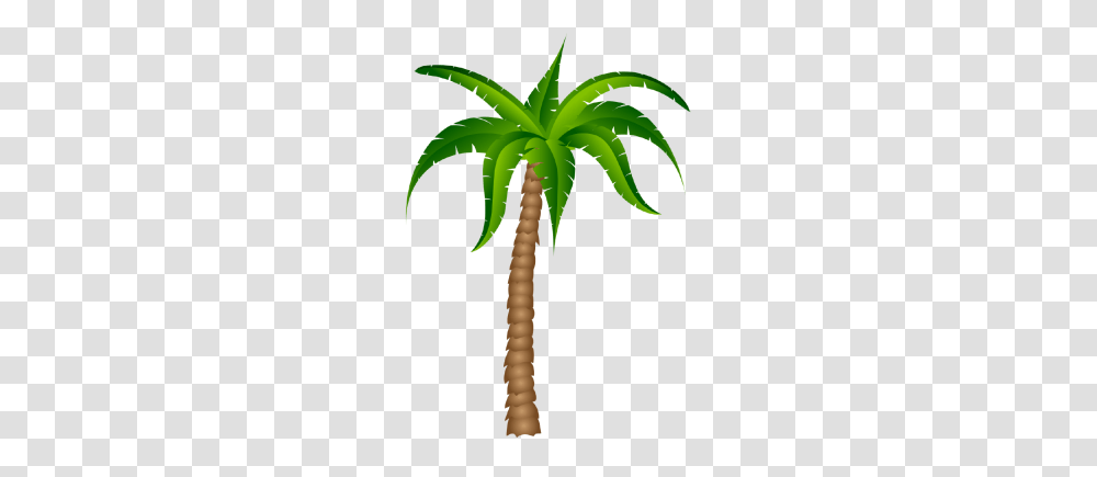 Palm Tree Clipart, Plant, Arecaceae, Green, Banana Transparent Png