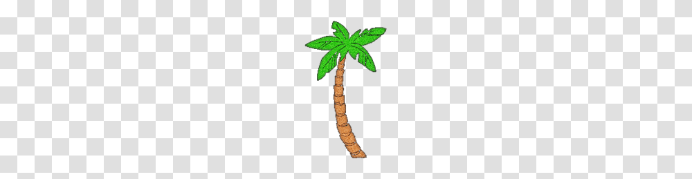 Palm Tree Clipart, Plant, Arecaceae, Staircase Transparent Png