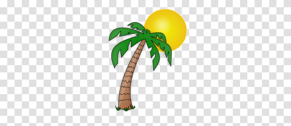 Palm Tree Clipart, Plant, Arecaceae, Vegetation Transparent Png