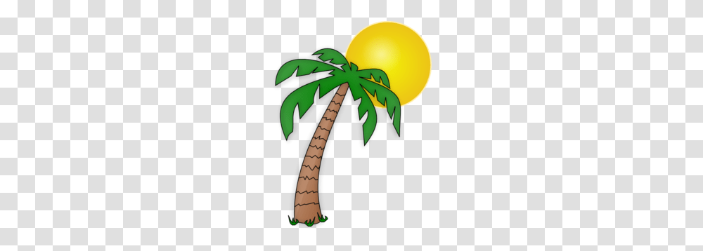 Palm Tree Clipart, Plant, Vegetation, Arecaceae Transparent Png