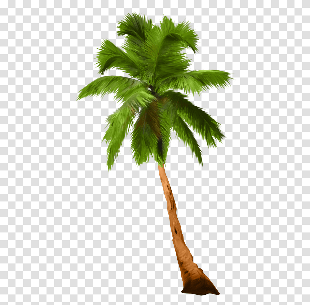 Palm Tree Clipart Plm, Plant, Arecaceae Transparent Png