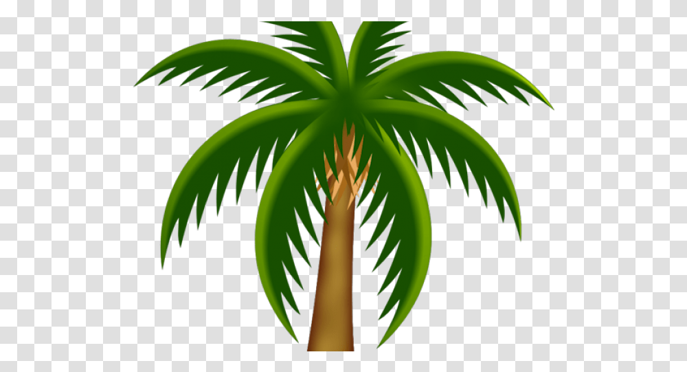 Palm Tree Clipart Pom Dates Tree Vector Drawings Of Palm Trees Colored, Plant, Arecaceae, Leaf, Flower Transparent Png