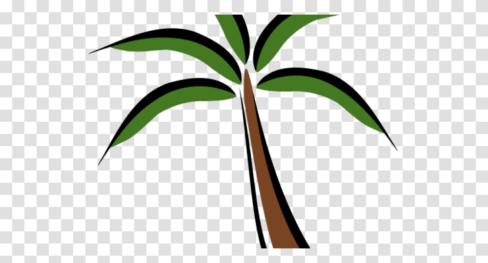 Palm Tree Clipart Terrestrial Plant, Arecaceae, Bird, Animal Transparent Png