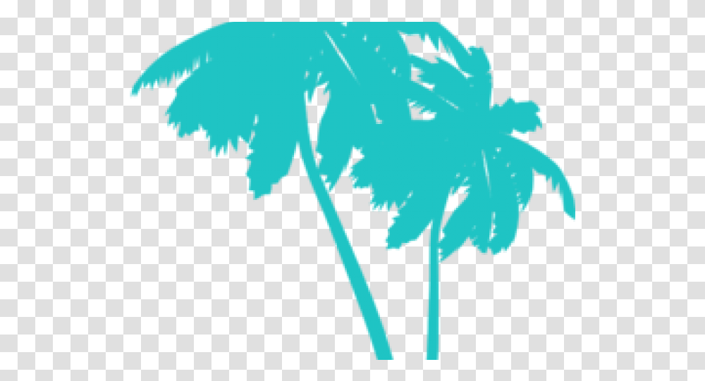 Palm Tree Clipart Top View Free Clip Art Stock Frond, Plant, Vegetable, Food, Kale Transparent Png