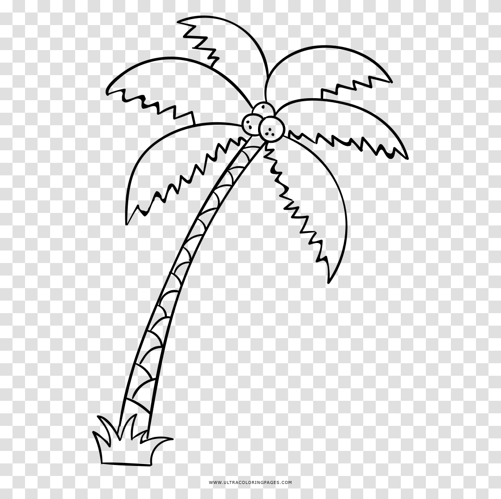 Palm Tree Coloring, Gray, World Of Warcraft Transparent Png