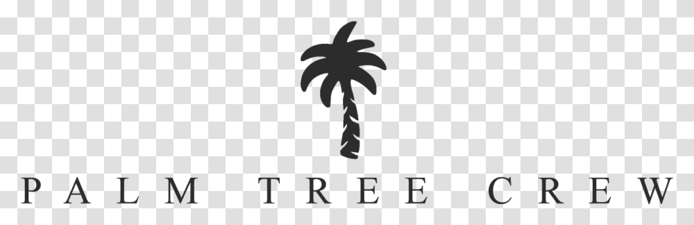 Palm Tree Crew, Plant, Arecaceae, Stencil Transparent Png