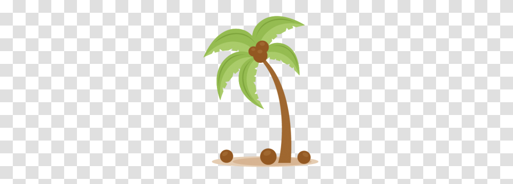 Palm Tree Dibujos Clip Art And Cutting, Plant, Leaf, Flower, Moss Transparent Png