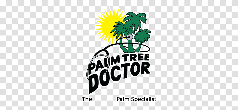 Palm Tree Doctor Royal Palm Diseases, Logo, Symbol, Trademark, Text Transparent Png