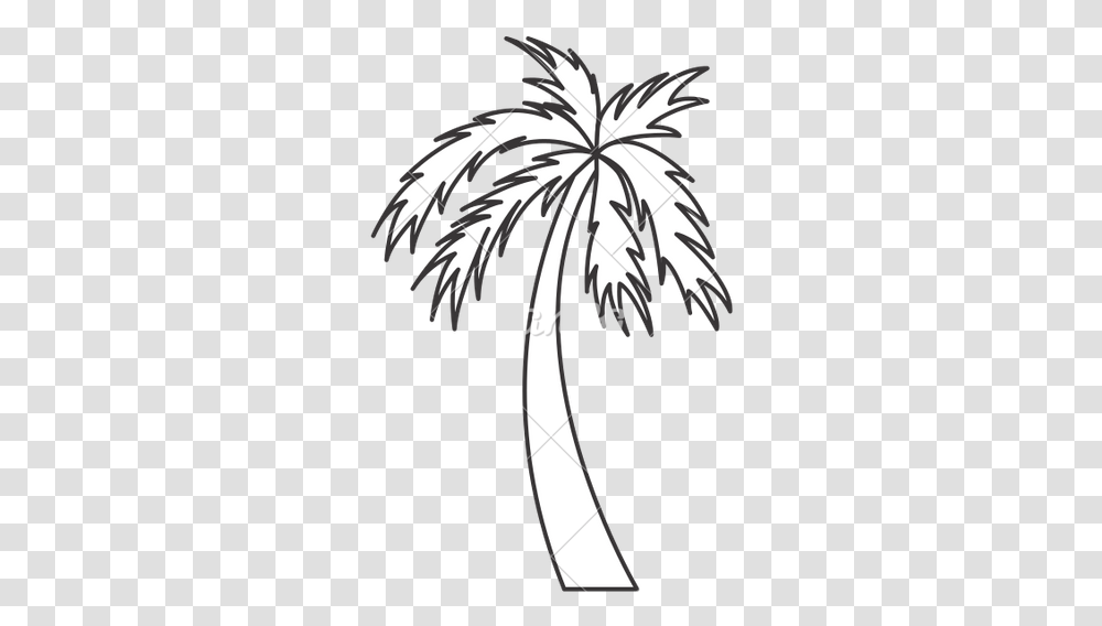 Palm Tree Drawing Palm Tree Icon White, Nature, Outdoors, Symbol, Airplane Transparent Png