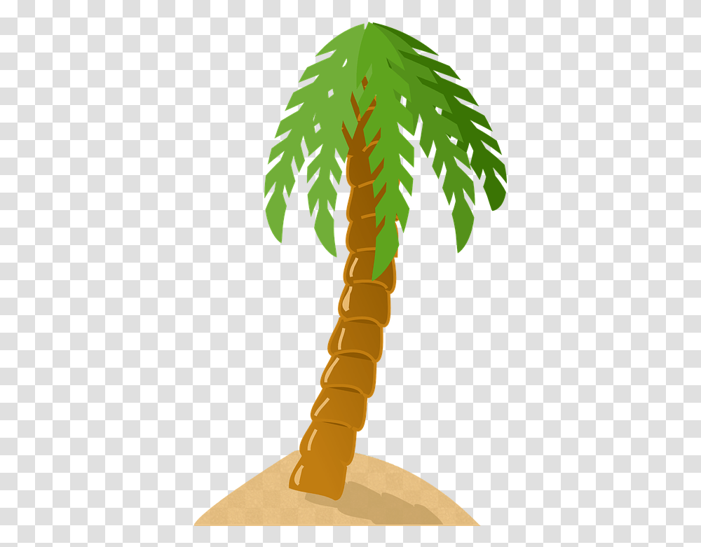 Palm Tree Exotic Tropical Island Green Sand Beach Palm Palm Tree Clip Art, Plant, Arecaceae, Root, Leaf Transparent Png