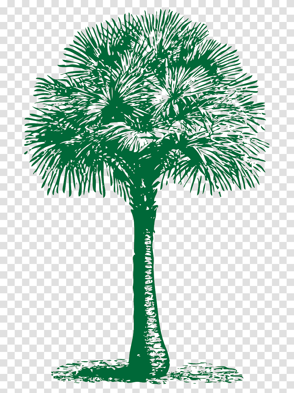 Palm Tree Fan Clip Art, Plant, Arecaceae, Bird, Animal Transparent Png