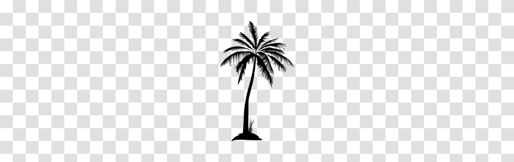 Palm Tree Forest Silhouette, Plant, Arecaceae, Lamp Transparent Png