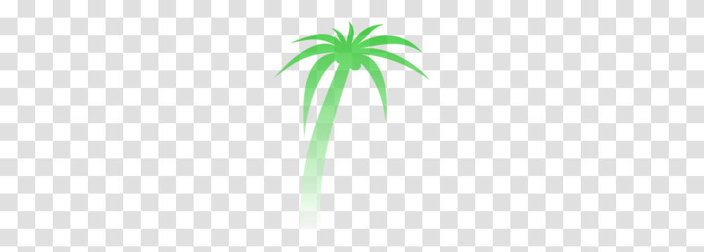 Palm Tree Gradient Clip Art, Plant, Vegetable, Food, Fir Transparent Png