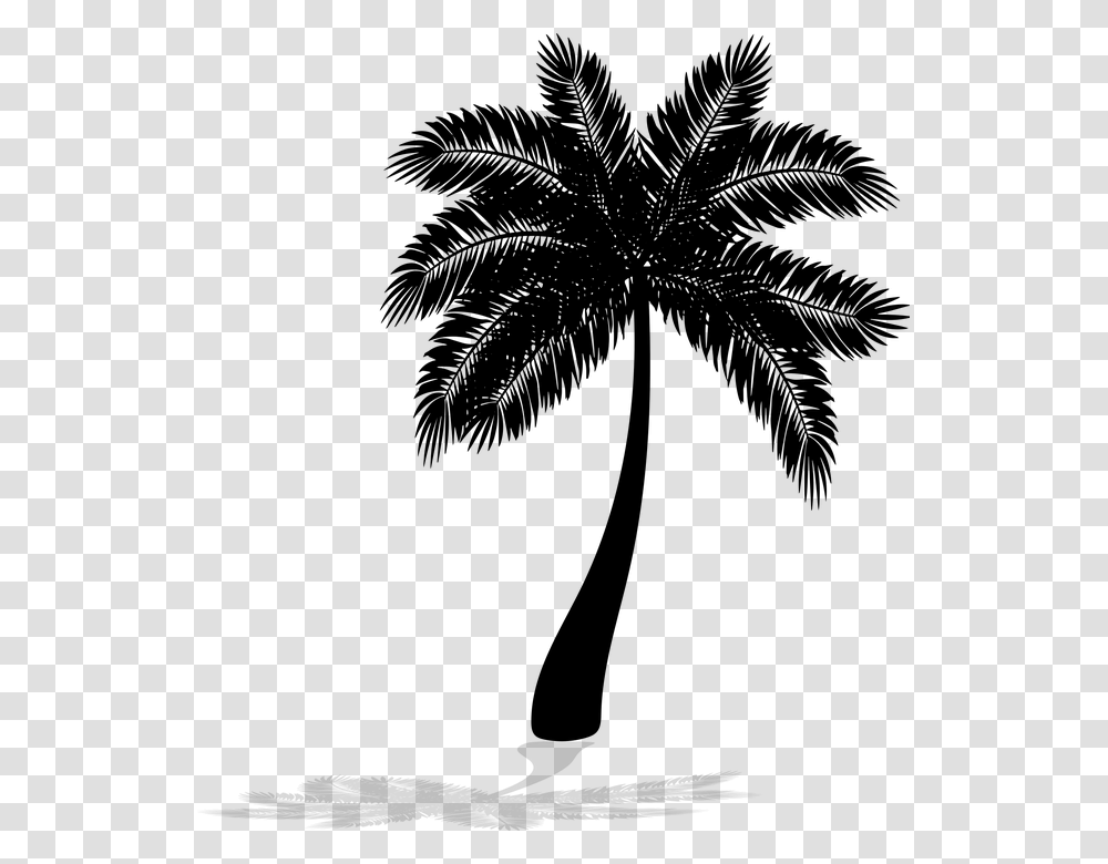 Palm Tree, Gray, World Of Warcraft Transparent Png