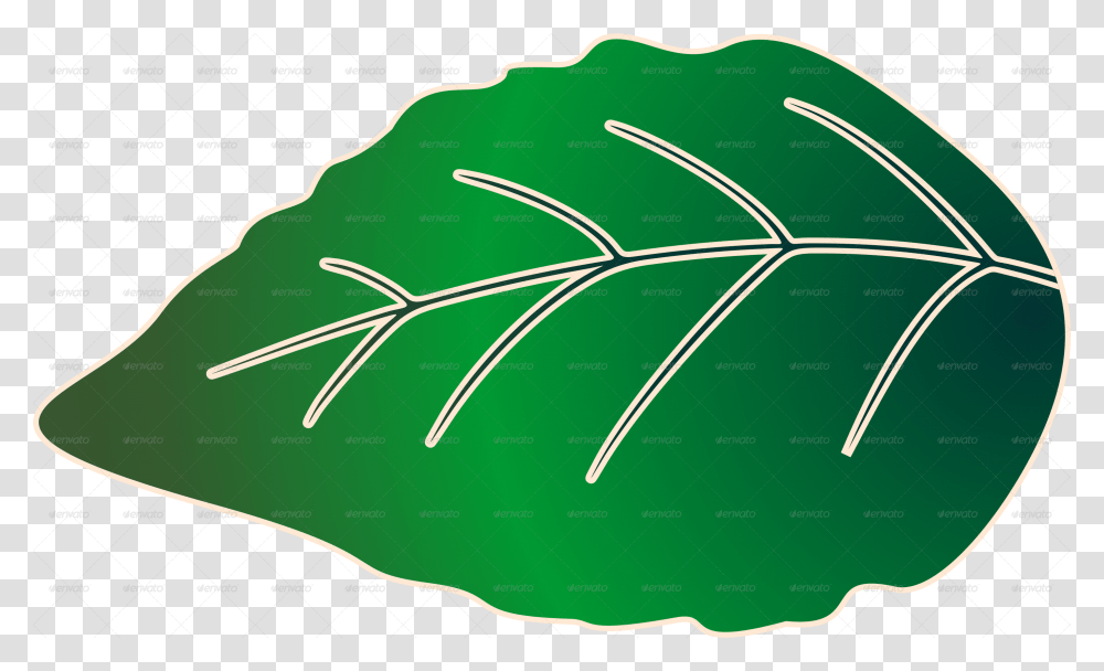 Palm Tree, Green, Leaf, Plant, Land Transparent Png