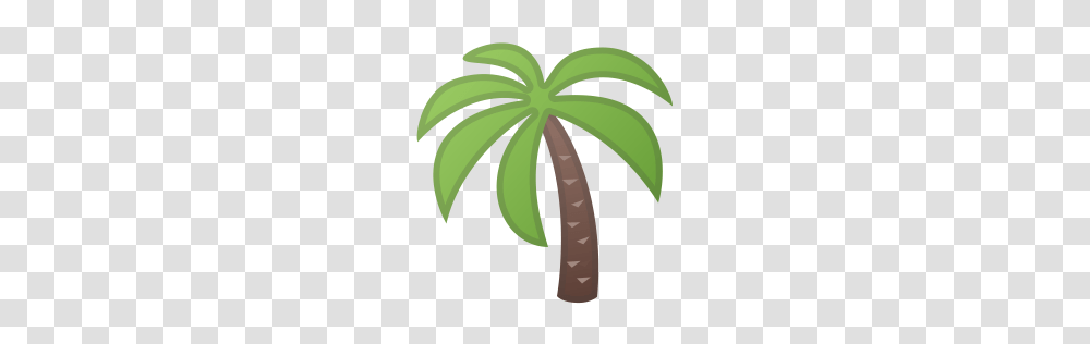 Palm Tree Icon Noto Emoji Animals Nature Iconset Google, Plant, Leaf, Tape Transparent Png