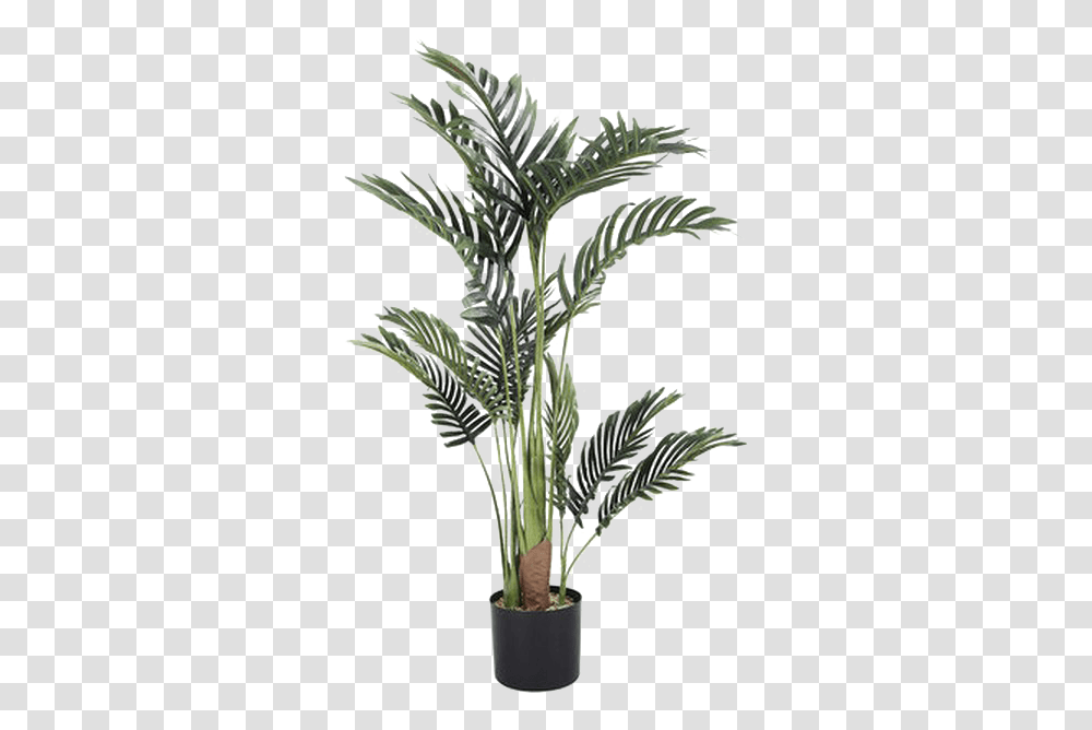Palm Tree Image Arts Tall Artificial Palm Tree Kmart, Plant, Leaf, Flower, Blossom Transparent Png