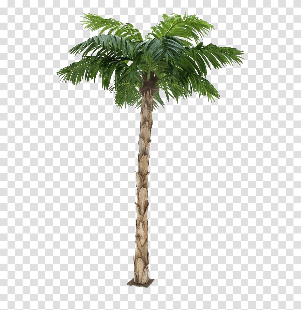 Palm Tree Image Background Background Format Palm Tree, Plant, Arecaceae, Cross Transparent Png