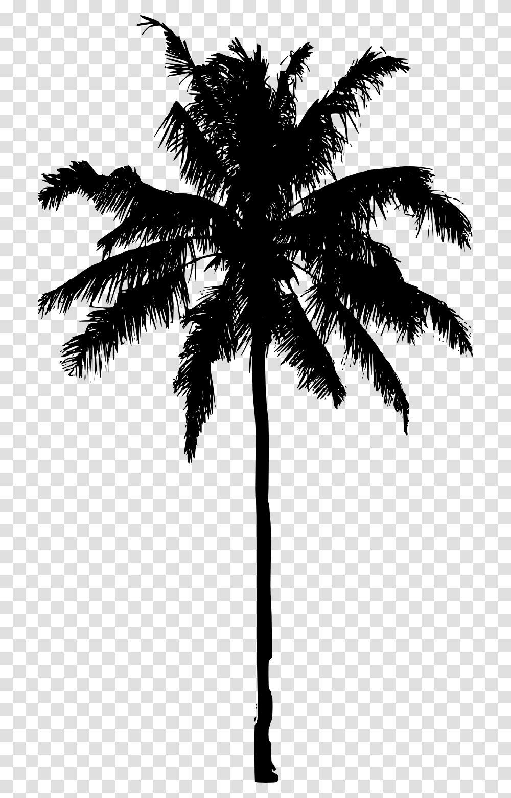 Palm Tree Image File Palm Tree Silhouette, Gray, World Of Warcraft Transparent Png