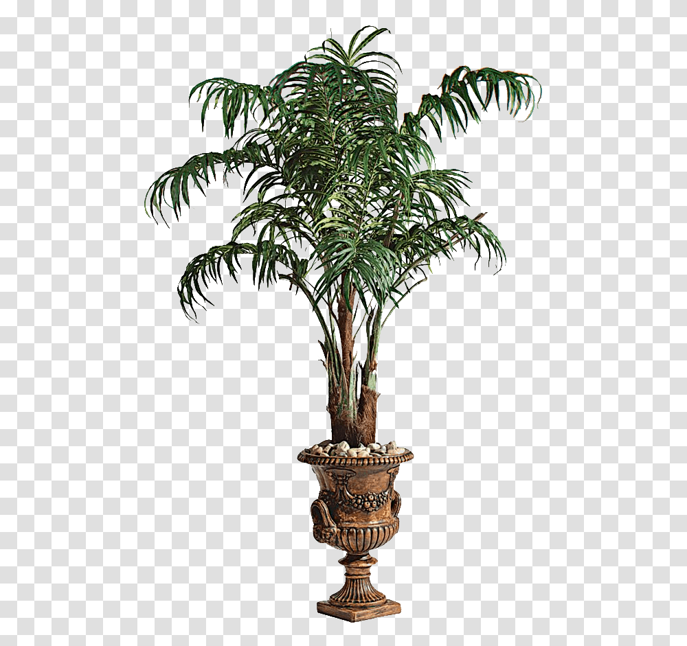 Palm Tree Image Large Size Format Photo Palm In Pot, Plant, Arecaceae, Lamp, Tree Trunk Transparent Png