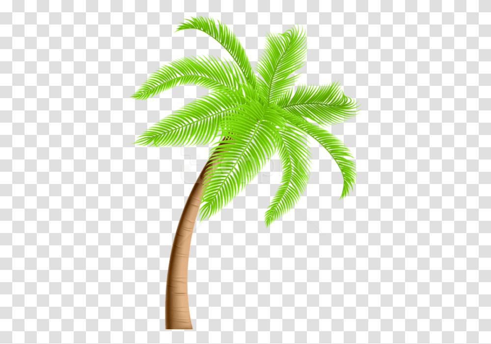 Palm Tree Images Background Background Palm Tree Clipart, Plant, Leaf, Fern, Green Transparent Png