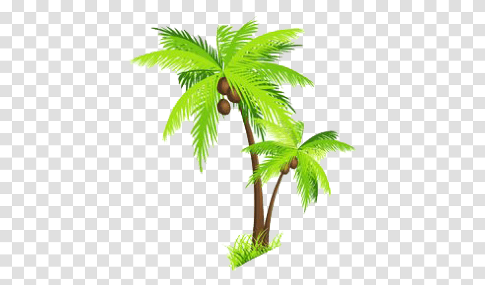 Palm Tree Images Background Coconut Tree Clipart, Plant, Leaf, Potted Plant, Vase Transparent Png