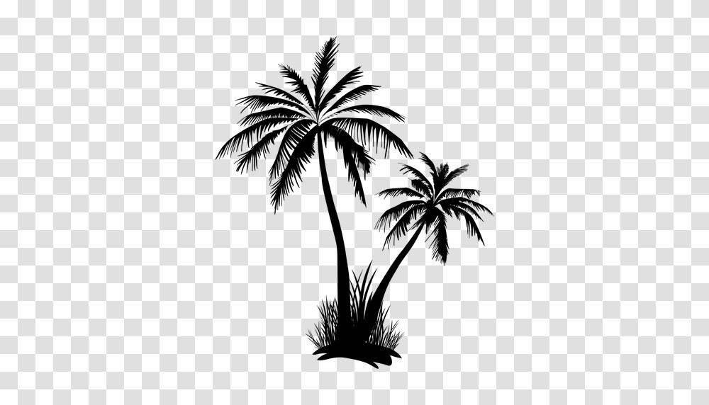 Palm Tree Images Group With Items, Gray, World Of Warcraft Transparent Png